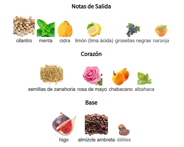 MAISON ALHAMBRA JEAN LOWE VIBE EDP 100ML