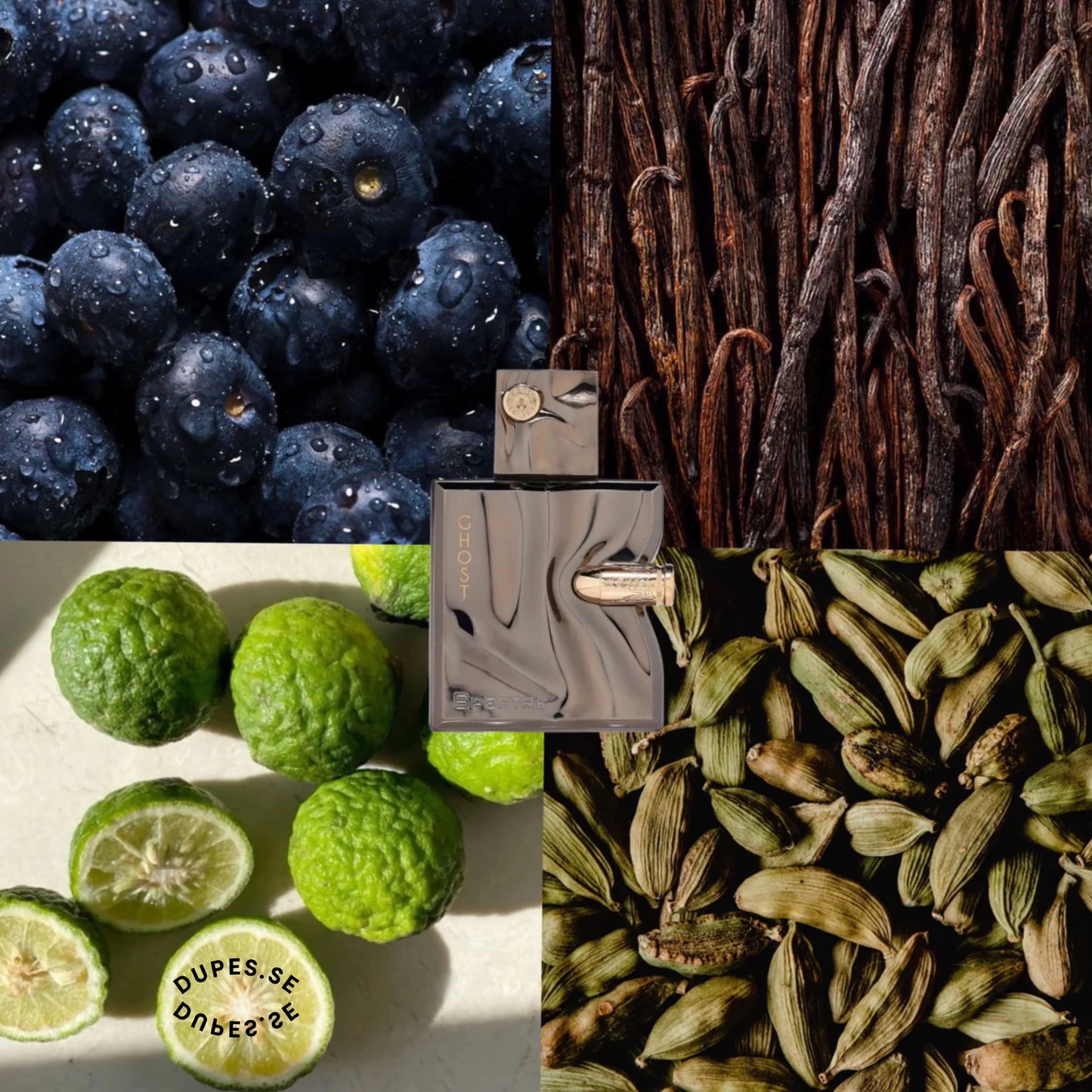 FRENCH AVENUE SPECTRE GHOST 80ML