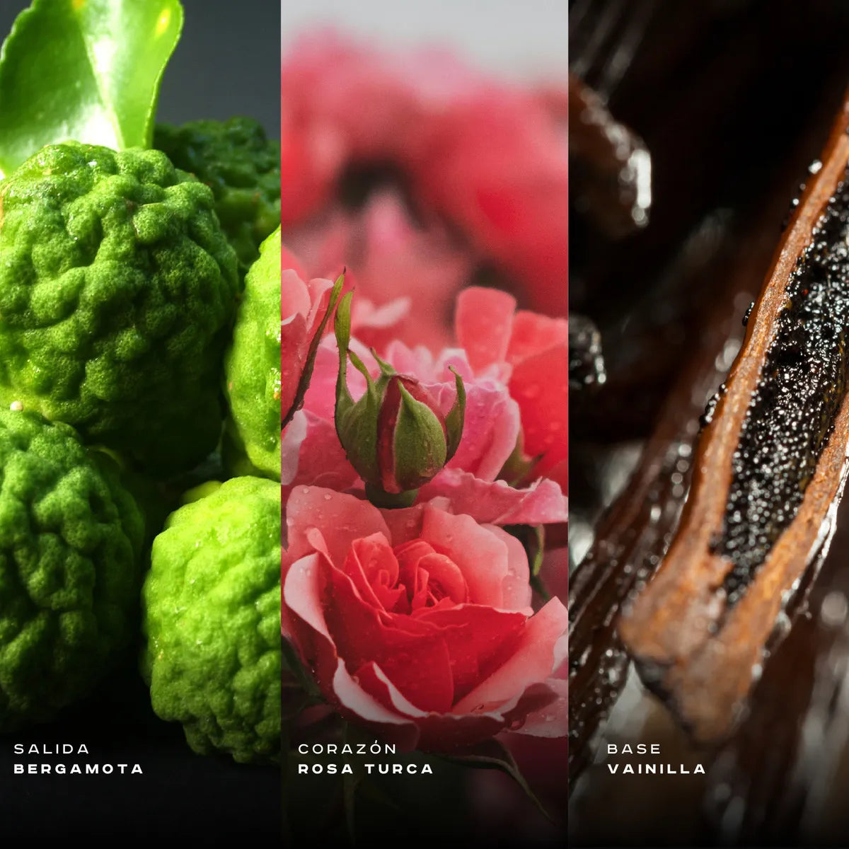 ARMAF CLUB DE NUIT IMPERIAL EDP 100 ML