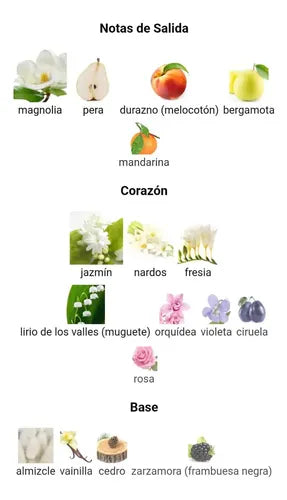 30 ML MAISON ALHAMBRA JARDIN DE REVE