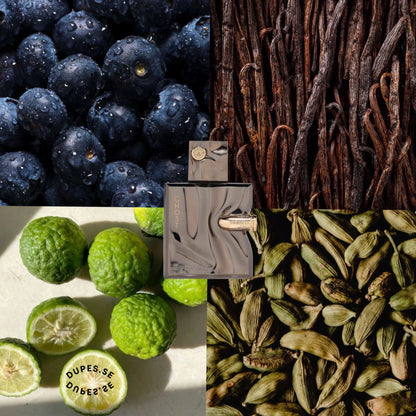 FRENCH AVENUE SPECTRE GHOST 80ML