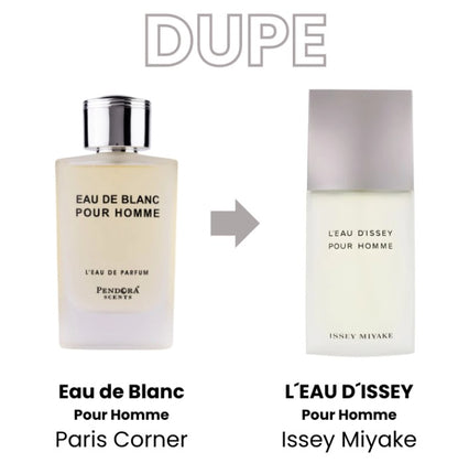 EAU DE BLANC POUR HOMME L'EAU DE PARFUM PARIS CORNER EDP 100ML