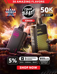 FLAVOR BEAST 50K MEXICO MANGO
